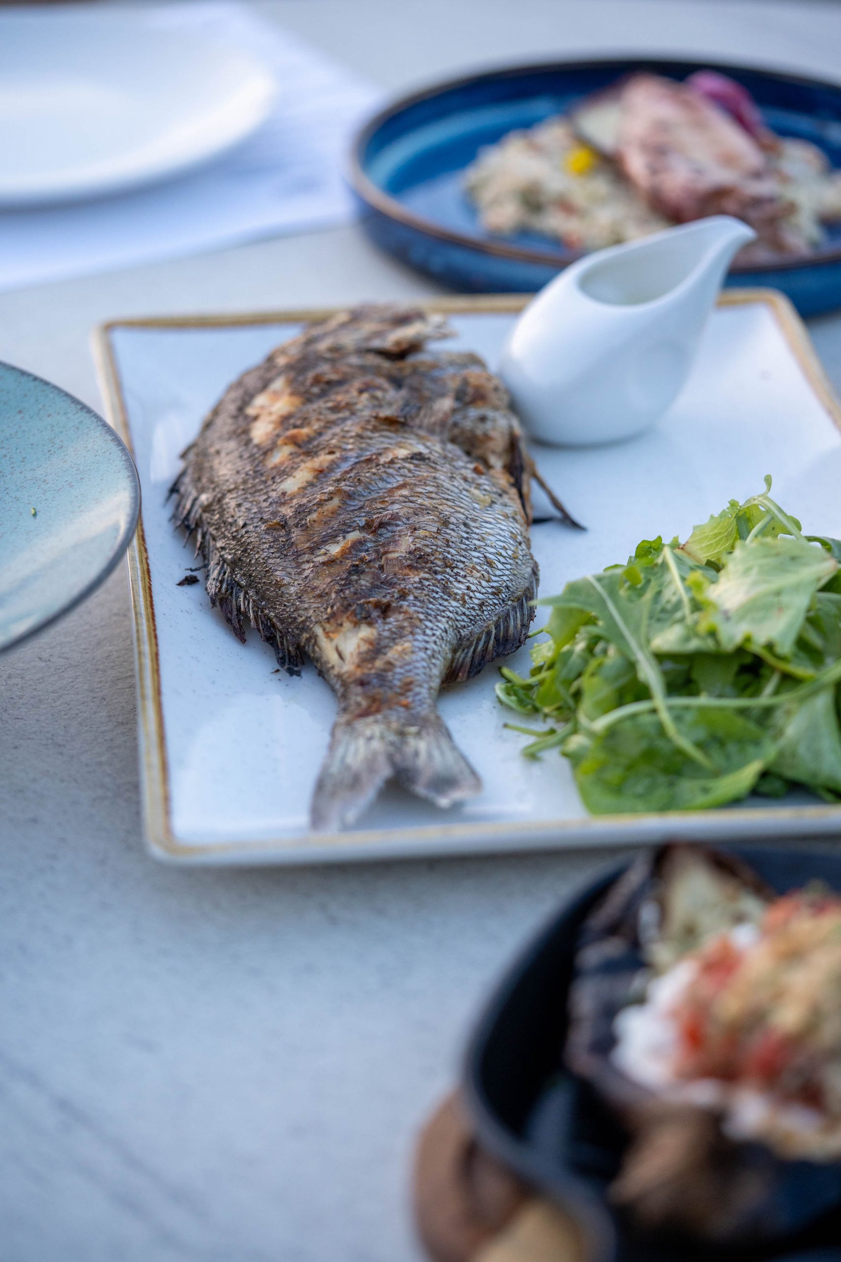 Fresh fish dish from sithonia sea